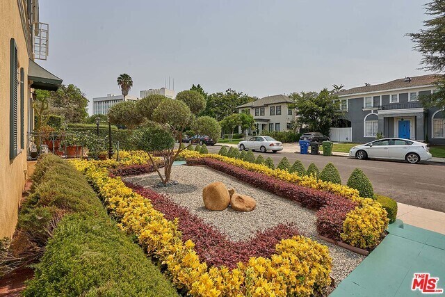 front garden - 703 Lorraine Blvd