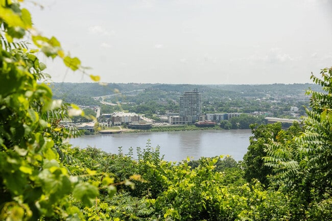 Building Photo - 964 Pavilion St