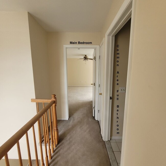 Building Photo - Spacious, freshly painted with lots of ame...