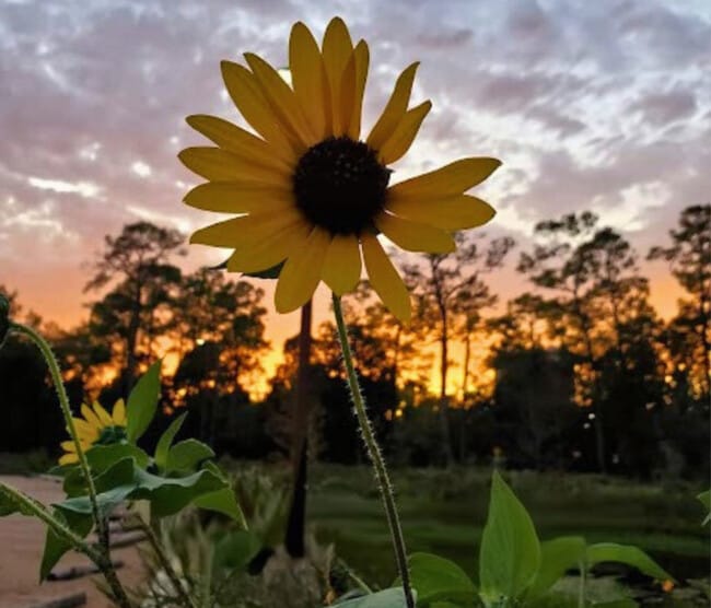 Building Photo - 8320 Curry Rd