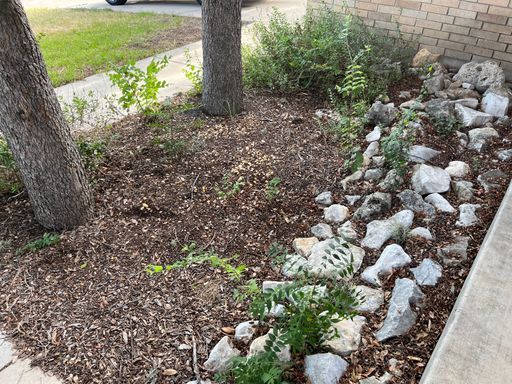 Building Photo - Rivermist Subdivision 3/2/2 Plus Study/Flexroom!