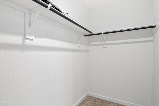 Building Photo - 3208 Rainwood Gate Dr