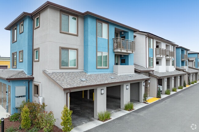 Primary - Del Corazon