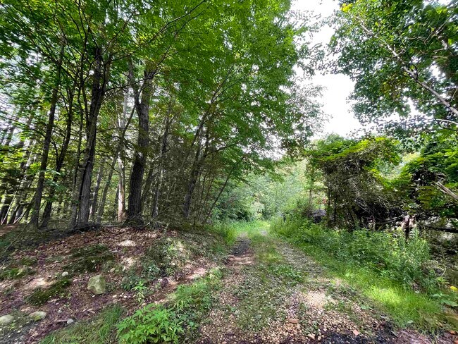 Building Photo - 95 Powers St