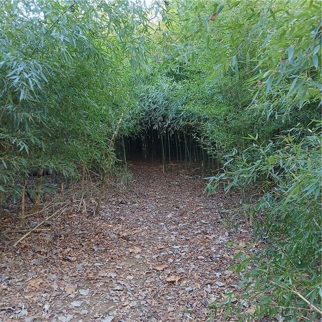 Building Photo - 241 Nacoochee Dr