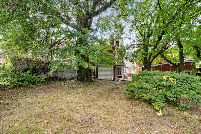 Backyard - 3336 Ward St