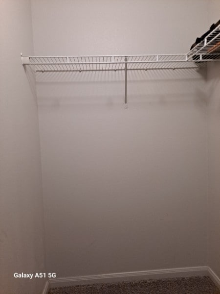 Building Photo - 6101 Chalk Hollow Dr