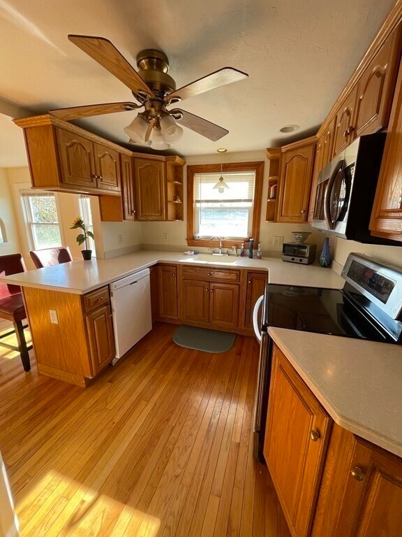 Building Photo - 49 Deerfield St