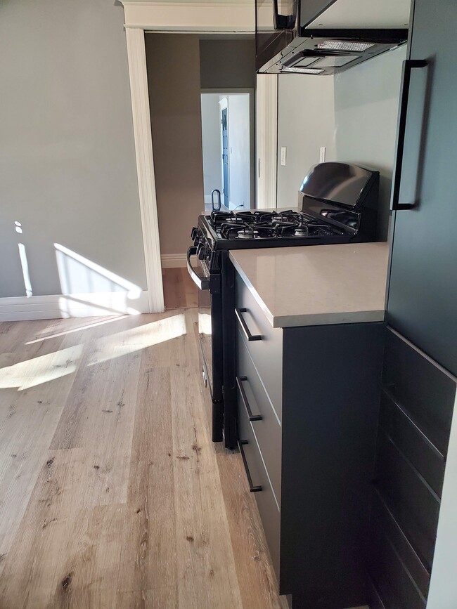 Kitchen with brand new GE gas stove, quartz counter top prep area next stove and pantry. - 579 W. 13th St