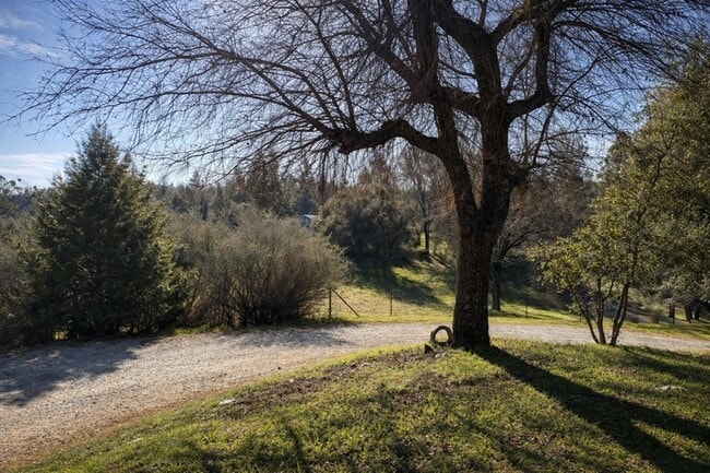 Building Photo - 20250 Vineyard Ln