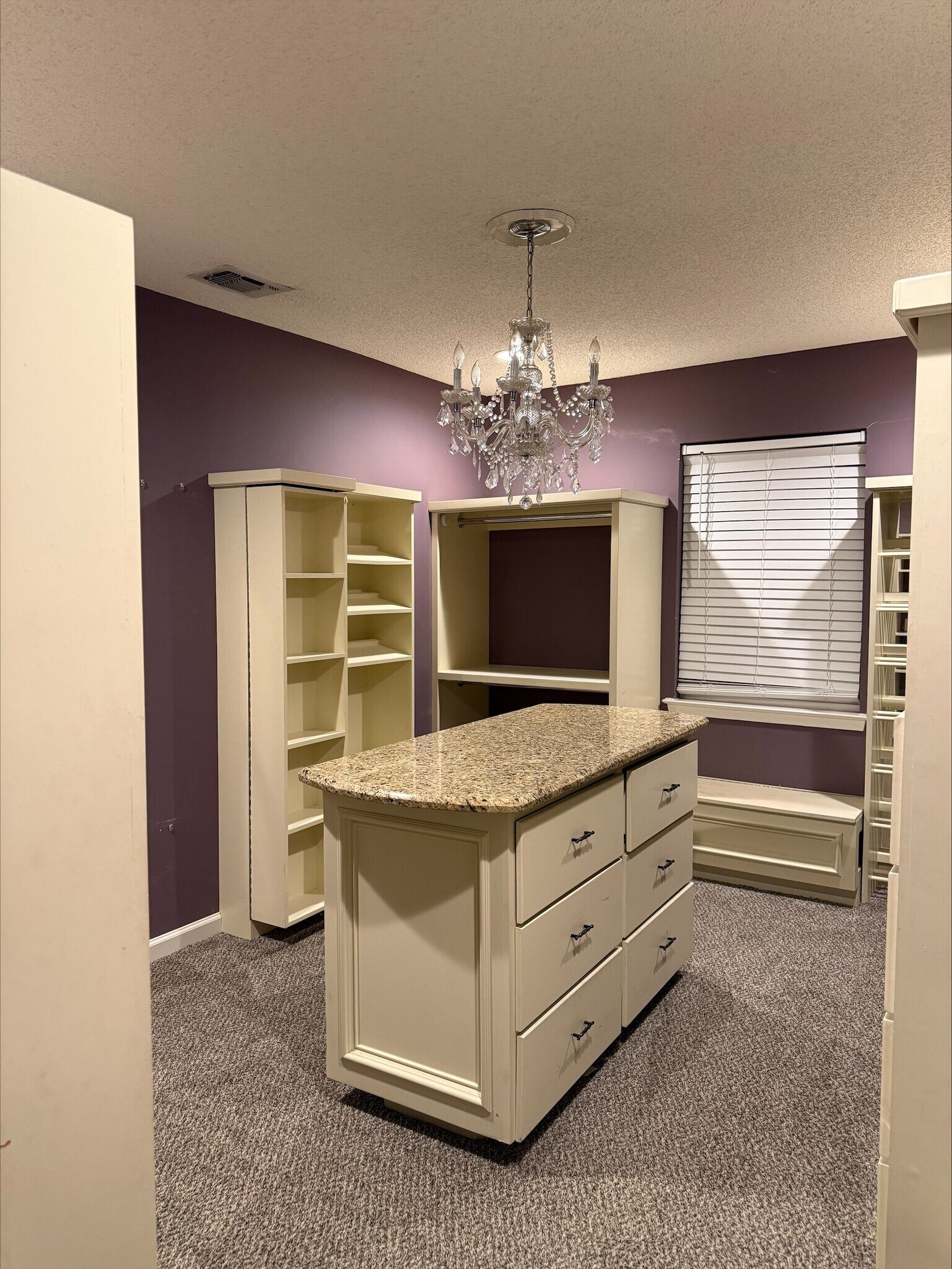 walk in closet - 1333 Carriage Dr