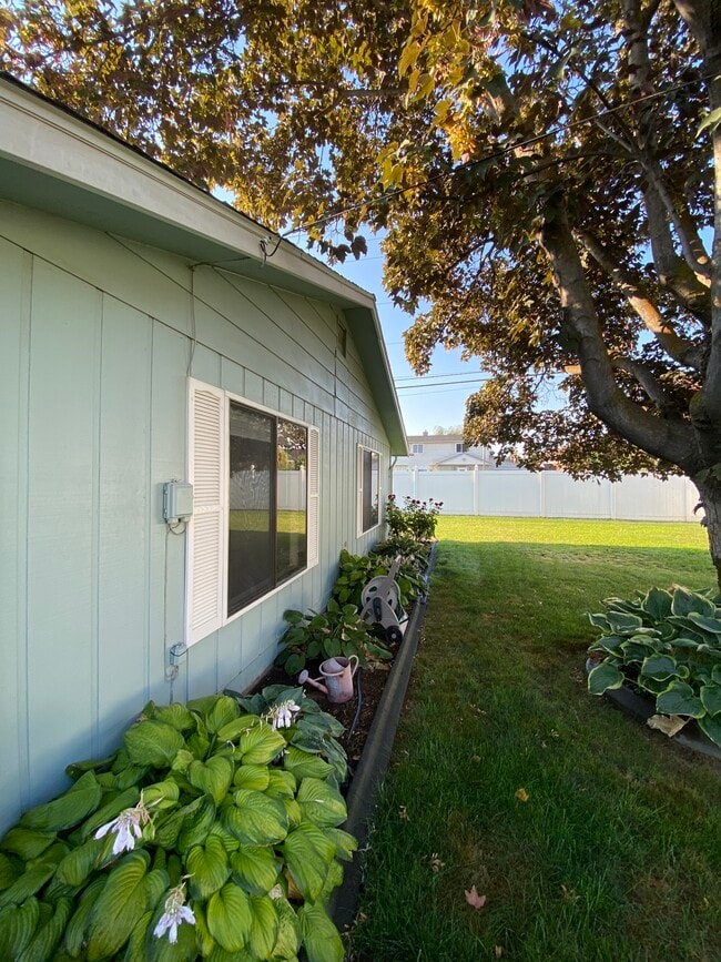 Backyard - 330 S Reed St