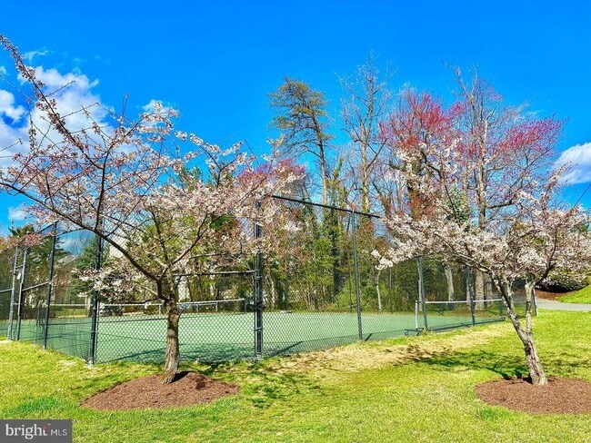 Building Photo - 4330 Cannon Ridge Ct