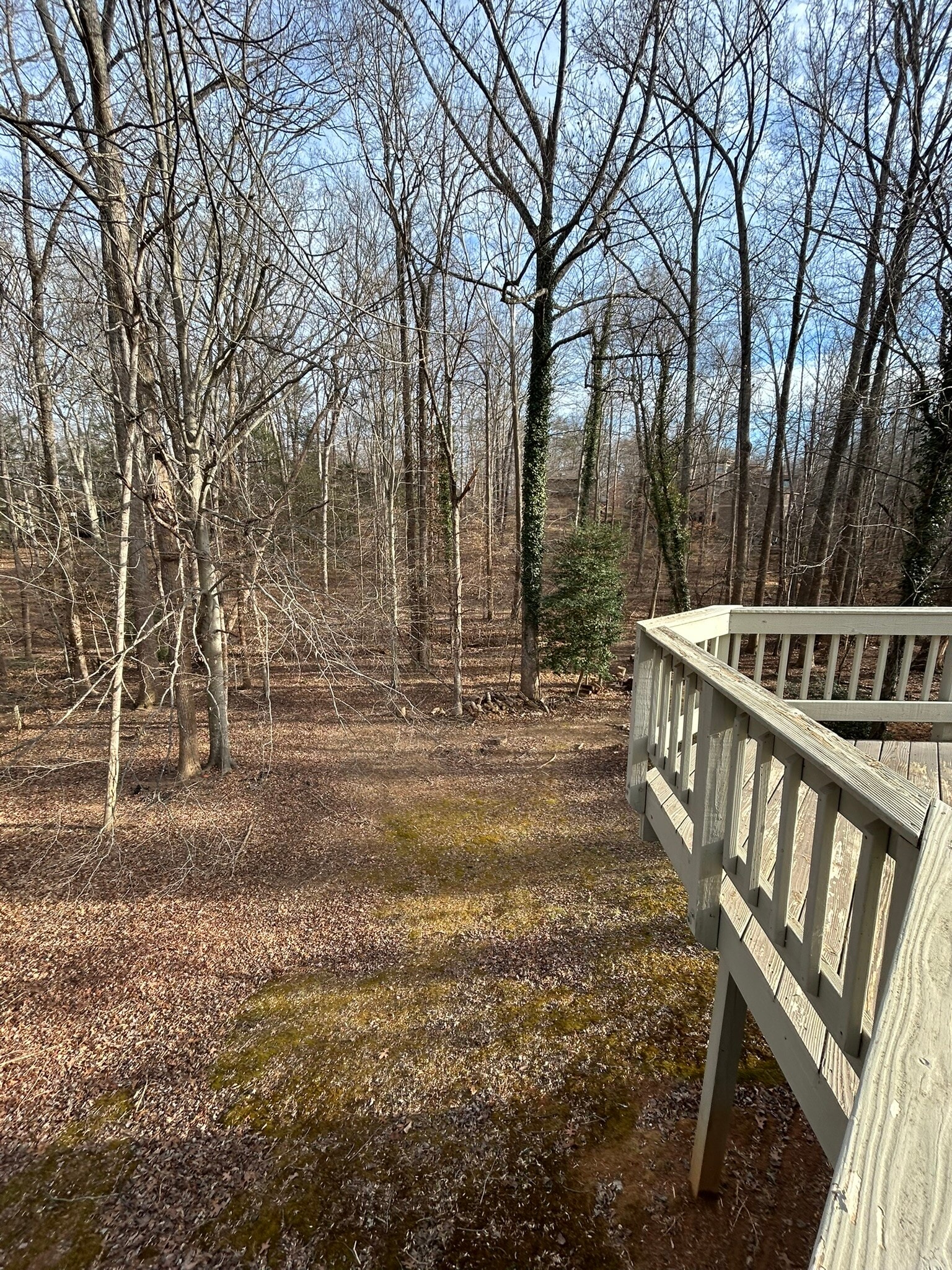 Building Photo - 6278 Occoquan Forest Dr