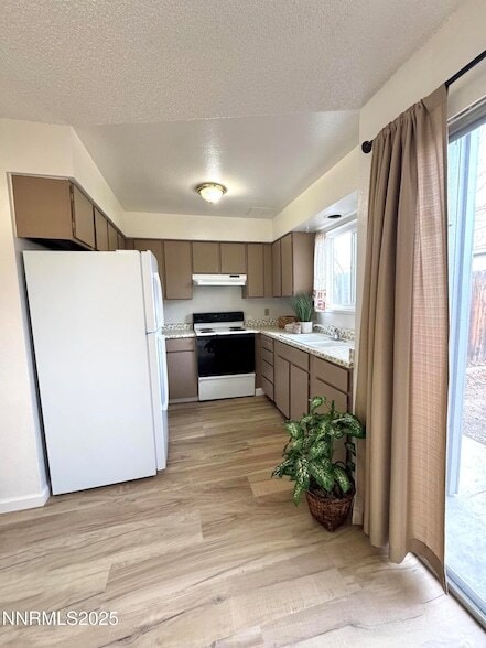 Building Photo - 827 Belli Dr