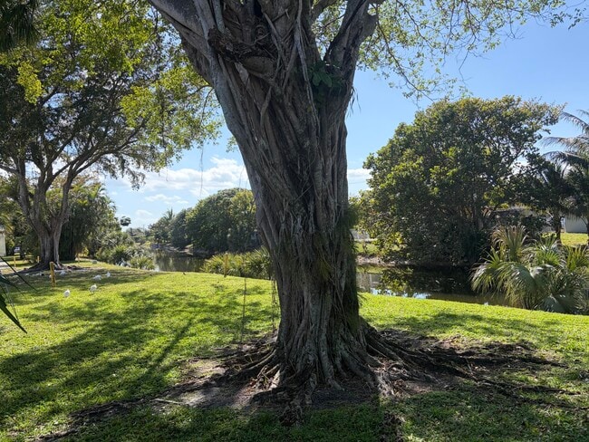 Building Photo - 2051 NW 46th Ave