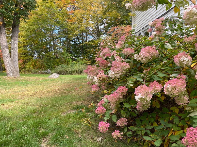 Building Photo - 18 Plaza Village Rd