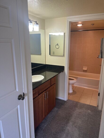 New Bathoom lights - 10263 Gandy Blvd N