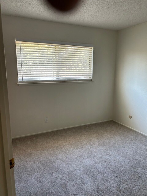 Building Photo - 1359 Palomar Cir