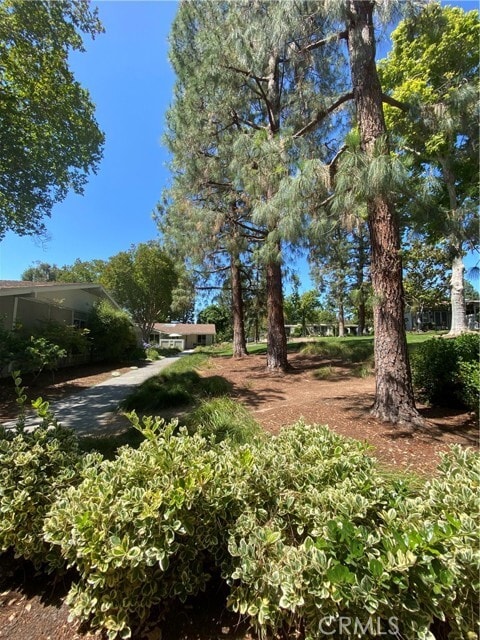 Building Photo - 520 Calle Aragon