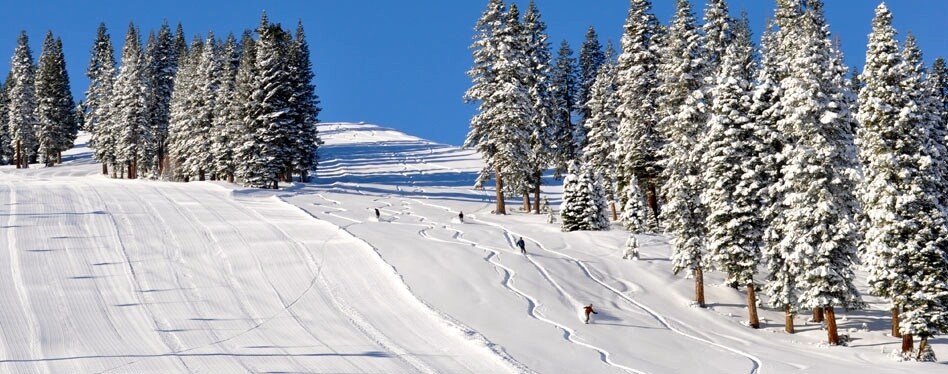 Building Photo - 12471 Northwoods Blvd.