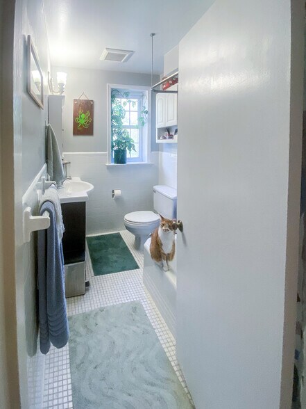 Building Photo - 2242 Washington Avenue