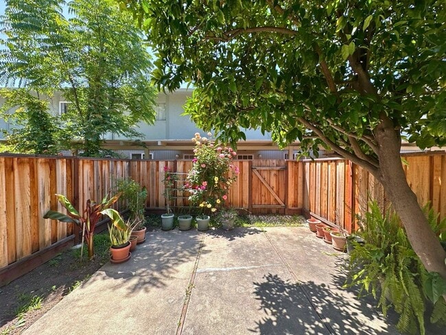 Building Photo - 2047 Montecito Ave