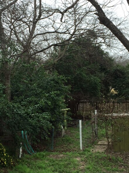 Back yard - 810 Aganier Ave