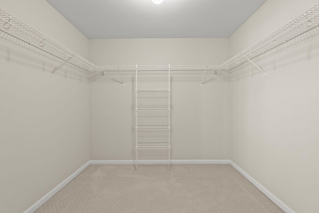 Building Photo - 236 Chippendale Cir