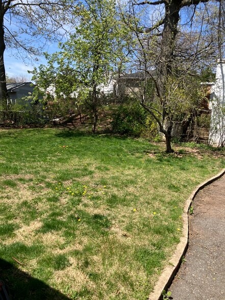 BACK YARD - 141 Dunbar Ave