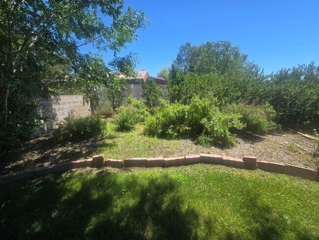 Building Photo - Rural 3 Bedroom Home in Fort Collins with Attached Garage and HUGE Yard Now Available! NO HOA!