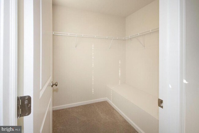 Building Photo - 117 Mazzeo Dr