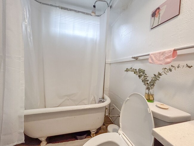 Building Photo - Updated Garden Level DU Home for Rent! Fiv...