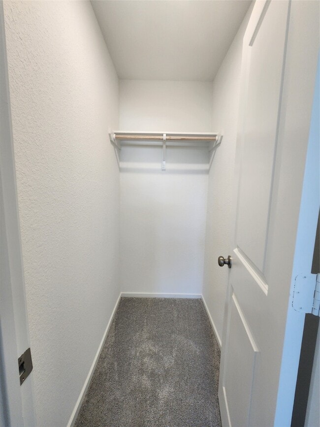 Building Photo - 17307 Adina Creek Ct