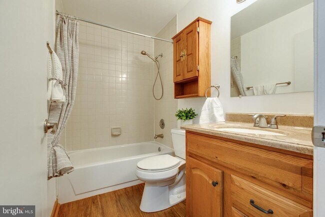 Building Photo - 206 Spring Maiden Ct