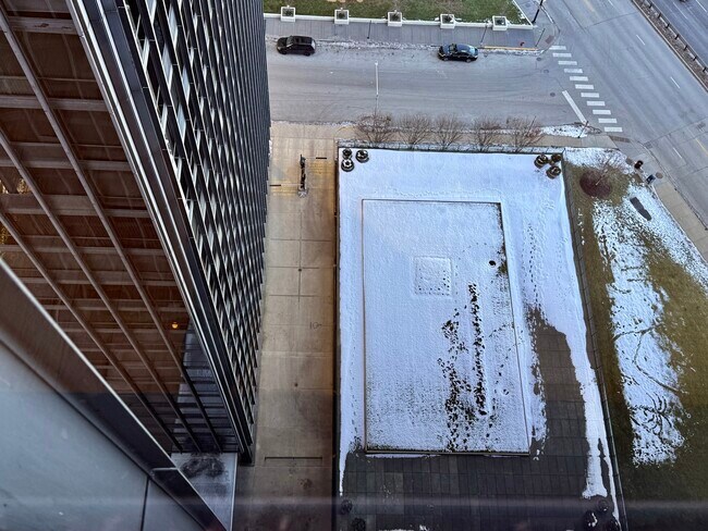 Building Photo - 900 N Lake Shore Dr