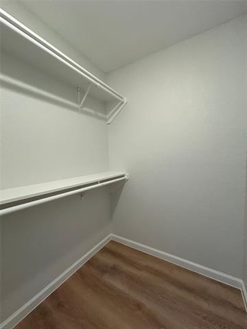 Building Photo - 9904 Ivy Leaf Ln