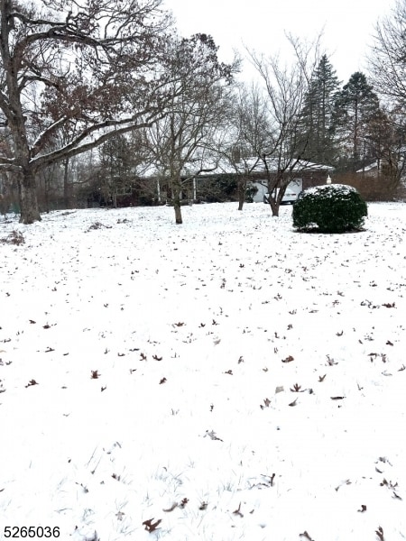 Building Photo - 19 Lavina Terrace