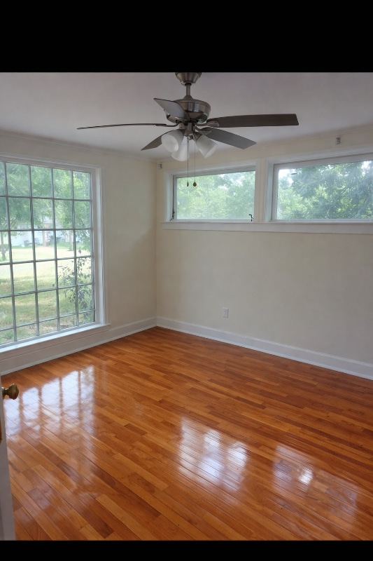 Building Photo - 2036 Gorgas St