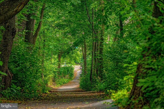 Building Photo - 2465 Bear Den Rd