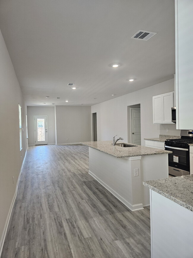 Building Photo - "New Construction 4-Bed Gem on Renova Driv...