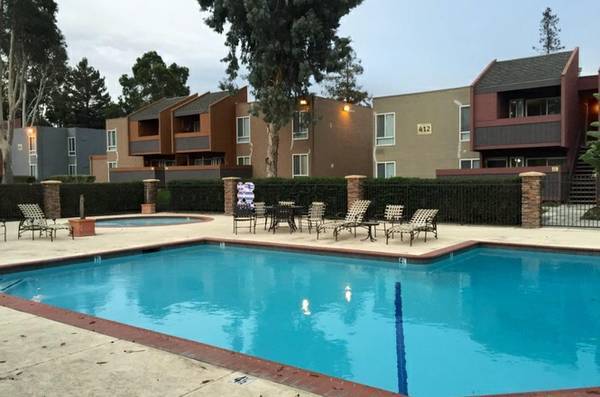 Pool - 440 Dempsey Rd
