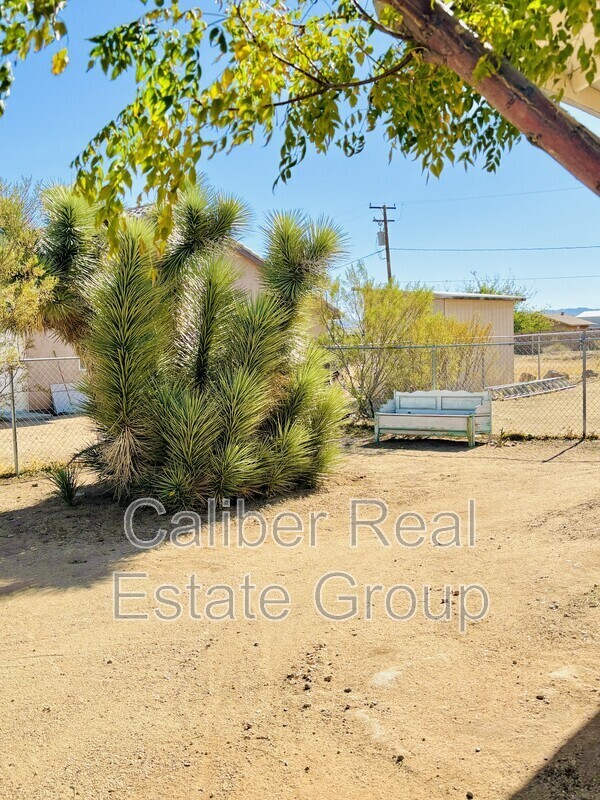 Primary Photo - 58207 Campanula St