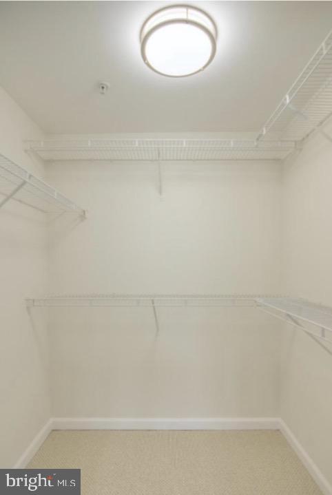 Building Photo - 422 Sheila St