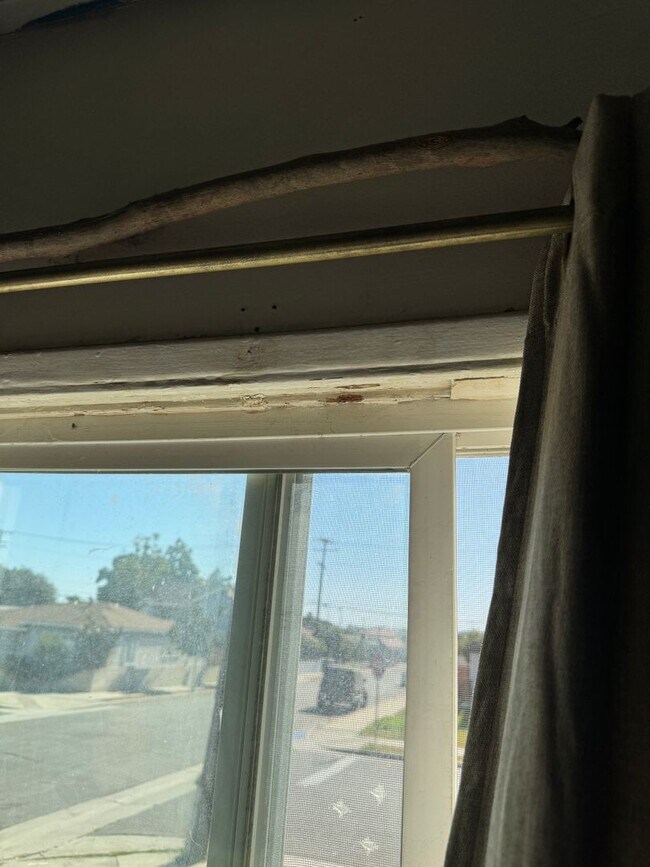 Building Photo - La Habra Duplex
