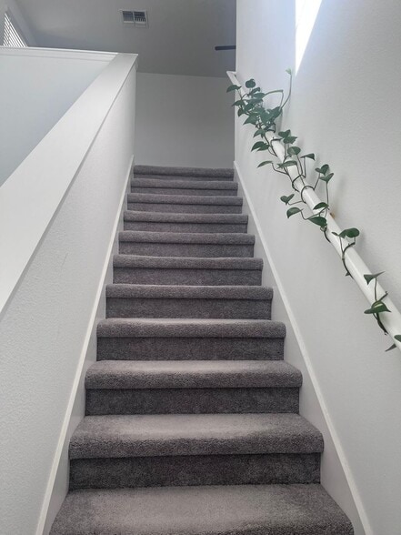 Building Photo - 6213 Back Forty Lp