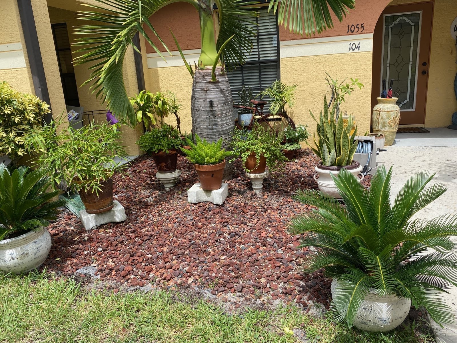 Front Landscaping - 1055 Luminary Cir
