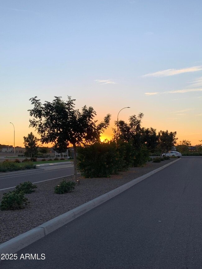 Building Photo - 3716 N 99th Dr