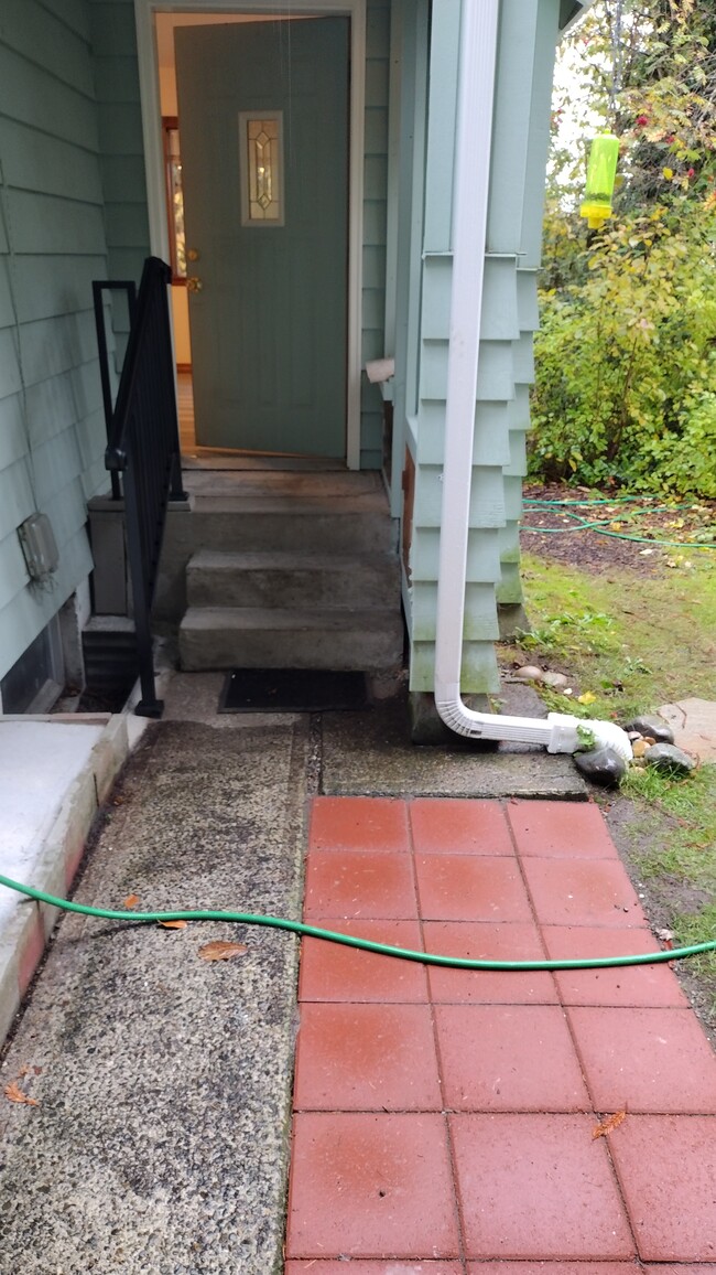 Upgraded outdoor water drainage and a new BBQ-pad out the back door from the kitchen - 23204 64th Ave W