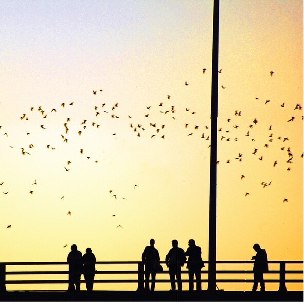 Building Photo - Augustine